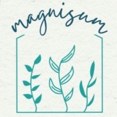 Magnisum Academy
