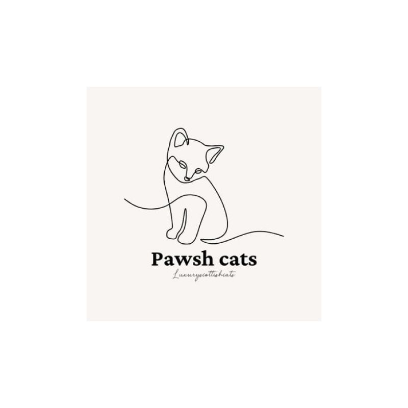 Pawsh cats