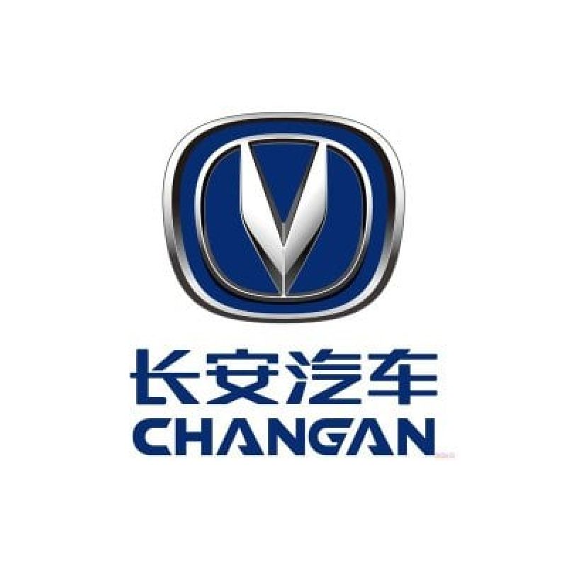 The Chinese Origin