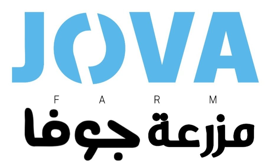 جوفا