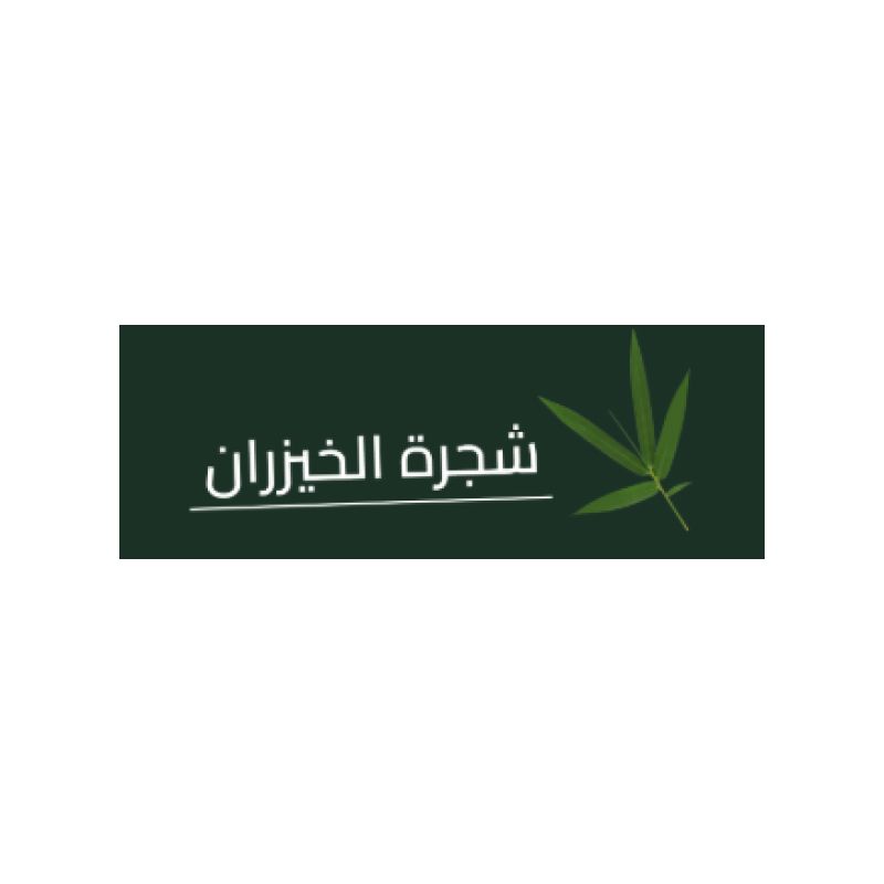 شجرة الخيزران