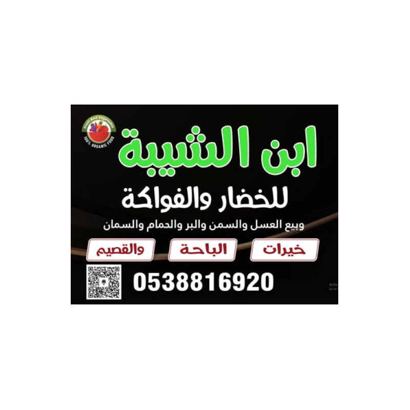 ابن شيبة