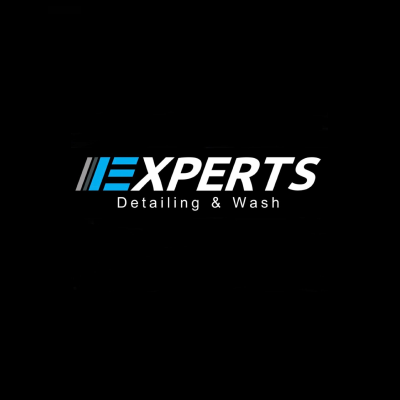 Experts detailing & wash