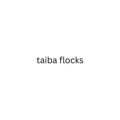 taiba flocks